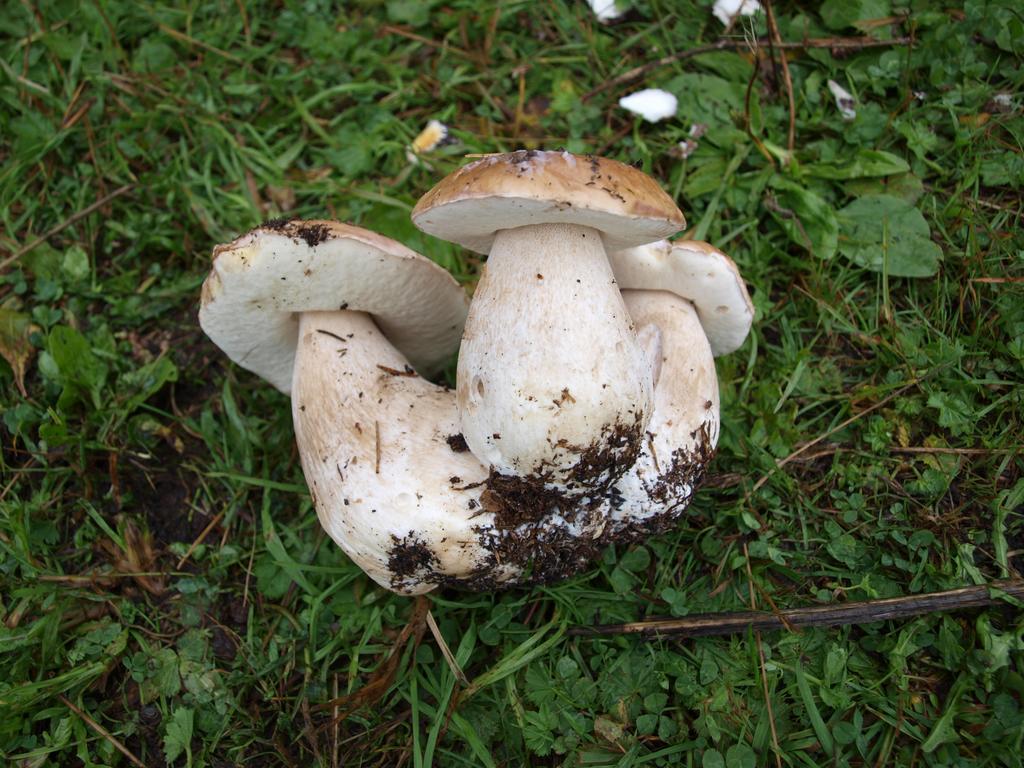 Penzión Koruna Nitrianske Rudno Exterior foto